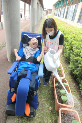 写真：水やり