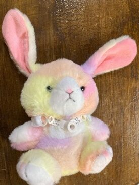 写真:医療的ケアについて理解する支援の関連ツール1