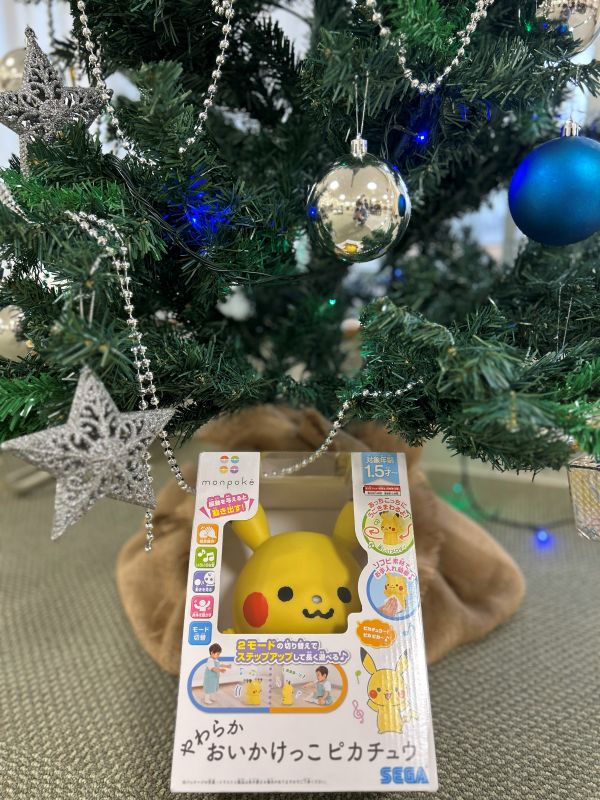 写真：おいかけっこピカチュウ